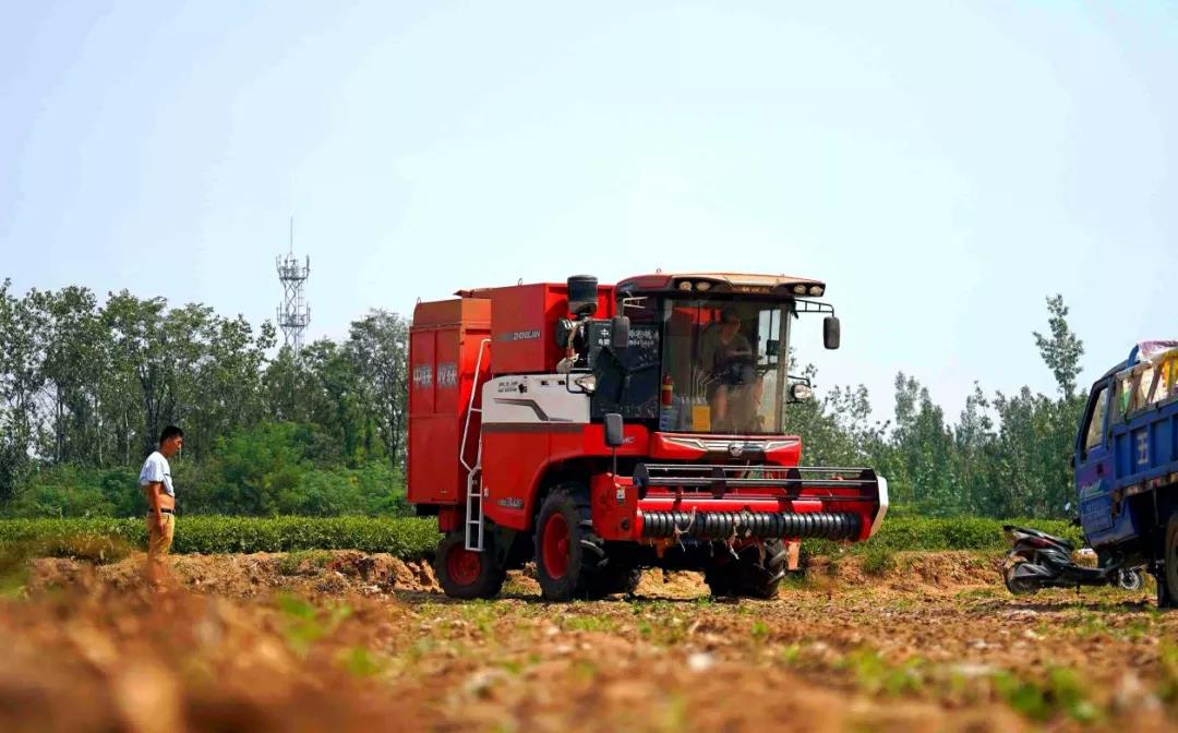 中聯(lián)收獲自走式花生撿拾收獲機——花生收獲界的“扛把子” 扛把子2.jpg